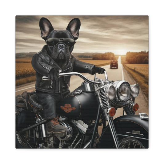 Biker Frenchie-Matte Canvas, Stretched, 14x14