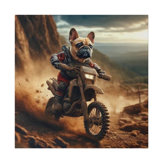 Frenchie Dirt Biker-Matte Canvas, Stretched, 14x14