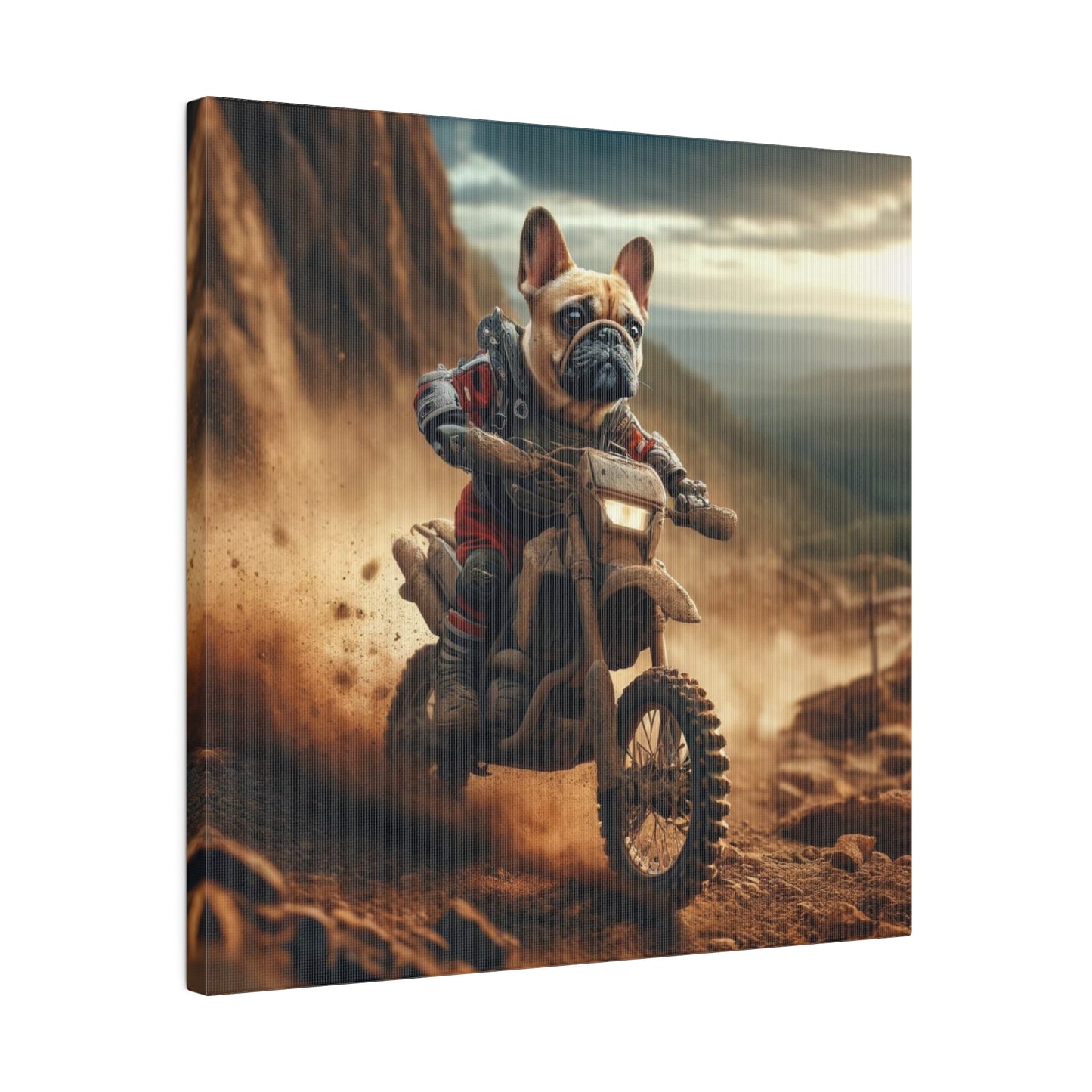 Frenchie Dirt Biker-Matte Canvas, Stretched, 14x14